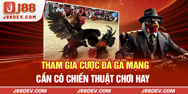 Tham gia cược đá gà mạng cần có chiến thuật chơi hay